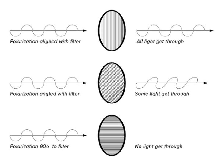 ภาพแสดงประสิทธิภาพของเลนส์ที่เคลือบโพลาไรซ์ ช่วยลดแสงที่ทะลุผ่านเลนส์
